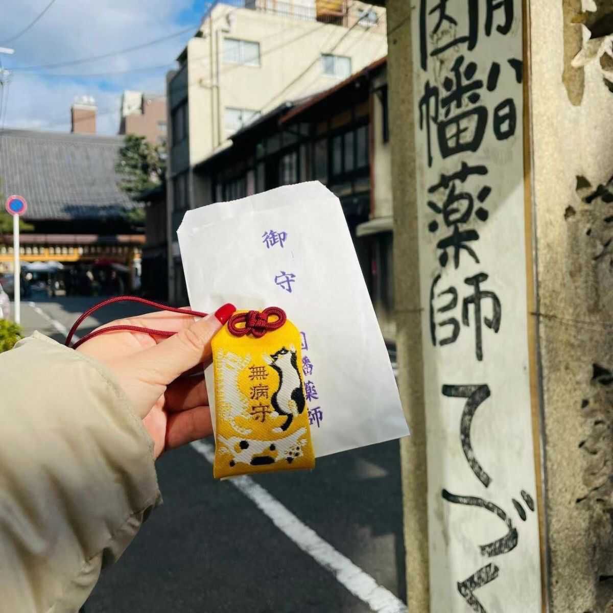 Letitdao Pet Safety Guardian Sachet Embroidered Herbal Amulet for Cat & Dog Calm Travel Protection Charm